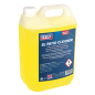 Patio Cleaner 5L