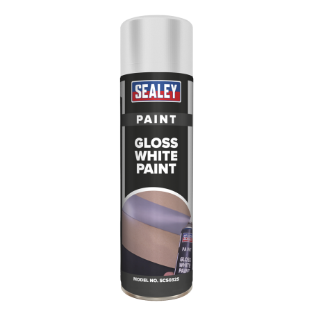 Peinture Blanche Brillante 500ml