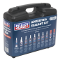 Adhesive & Sealant Kit 10pc