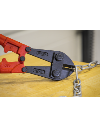 Bolt Cutters 450mm 8mm Capacity