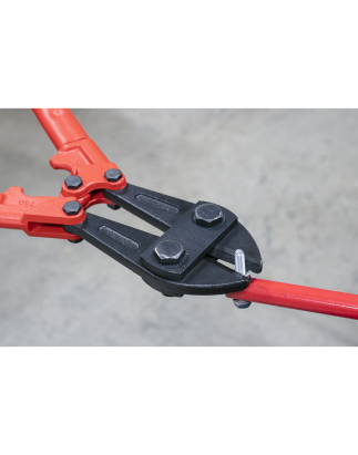 Bolt Cutters 750mm 13mm Capacity