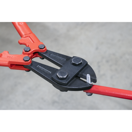 Bolt Cutters 750mm 13mm Capacity