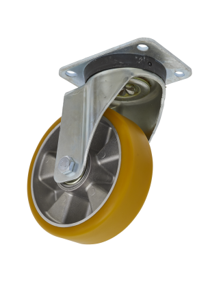 Castor Wheel Swivel Plate Ø160mm