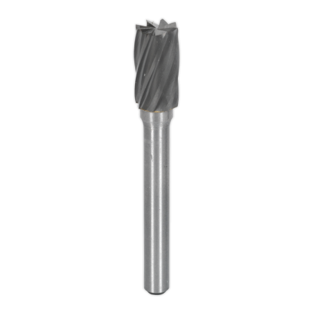 Tungsten Carbide Rotary Burr Cylindrical Front End Cut Ripper/Coarse