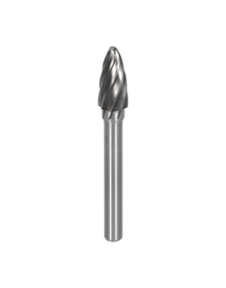 Tungsten Carbide Rotary Burr Oval Ripper/Coarse