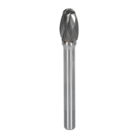 Tungsten Carbide Rotary Burr Arc Round Nose Ripper/Coarse