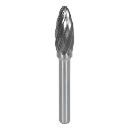 Tungsten Carbide Rotary Burr Flame Ripper/Coarse