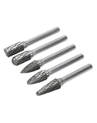 Tungsten Carbide Rotary Burr Set 5pc