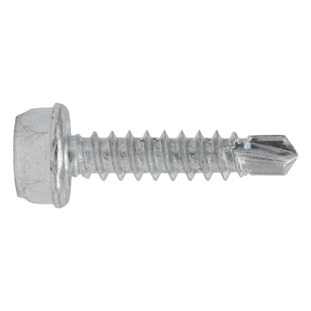 Self-Drilling Screw 4.2 x 19mm Hex Head Zinc Pack of 100