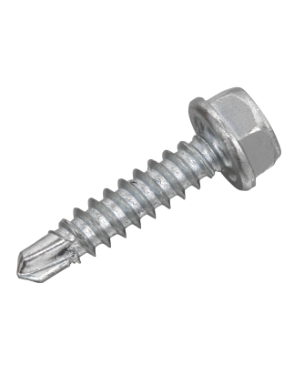 Self-Drilling Screw 4.2 x 19mm Hex Head Zinc Pack of 100