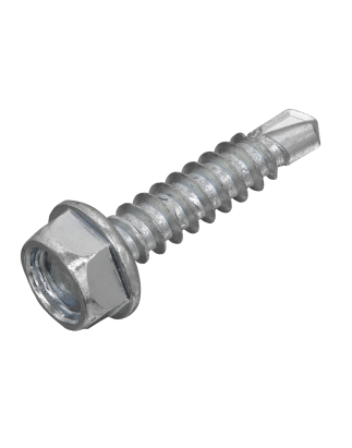 Self-Drilling Screw 4.2 x 19mm Hex Head Zinc Pack of 100