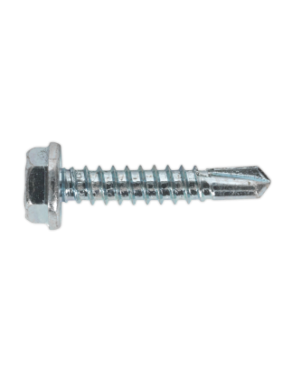 Self-Drilling Screw 4.8 x 25mm Hex Head Zinc Pack of 100