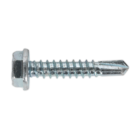 Self-Drilling Screw 4.8 x 25mm Hex Head Zinc Pack of 100