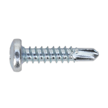 Self-Drilling Screw 4.2 x 19mm Pan Head Phillips Zinc Pack of 100