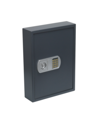 Electronic Key Cabinet 100 Key Capacity