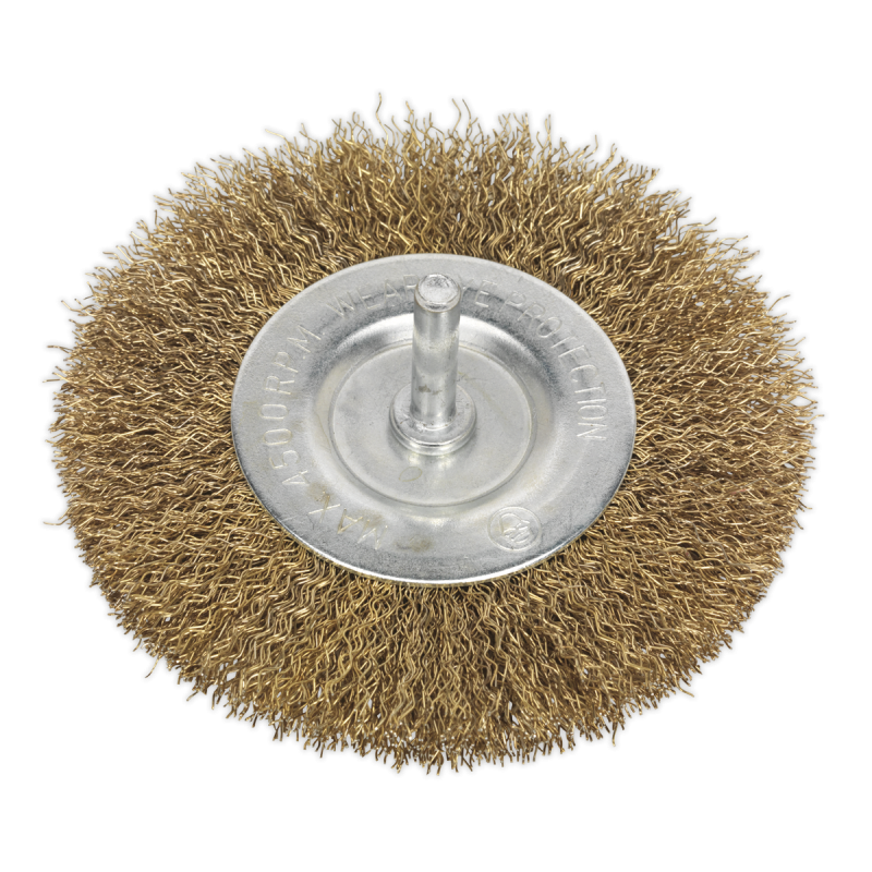 Brosse Fil Plat Serti Ø100mm Arbre Ø6mm