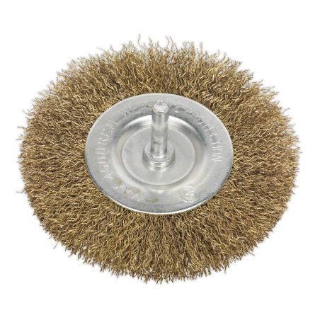 Brosse Fil Plat Serti Ø100mm Arbre Ø6mm