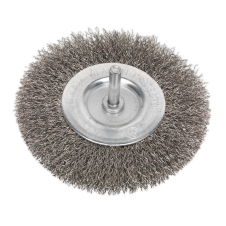 Crimped Flat Wire Brush Stainless Steel Ø100mm Ø6mm Shaft