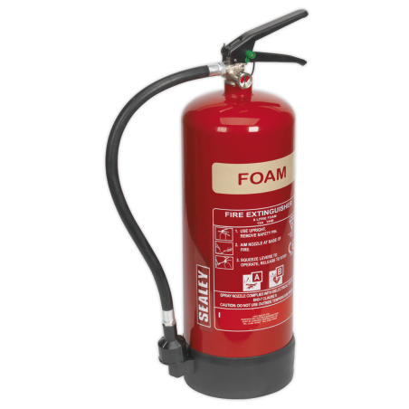 Foam Fire Extinguisher 6L