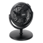 Desk & Pedestal Fan 12" 230V