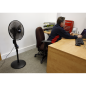 Quiet High Performance Oscillating Pedestal Fan 16"