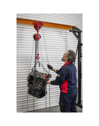 Portable Adjustable Gantry Crane with Geared Trolley Combo 1 Tonne