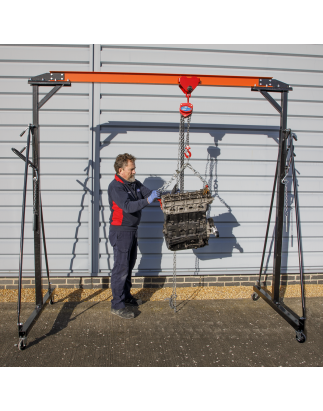 Portable Lifting Adjustable Gantry Crane 0.5 Tonne