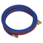 Oxy Acetylene Twin Rubber Hose Set 5m