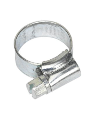 Hose Clip Zinc Plated Ø13-19mm Pack of 30