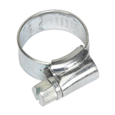 Hose Clip Zinc Plated Ø13-19mm Pack of 30