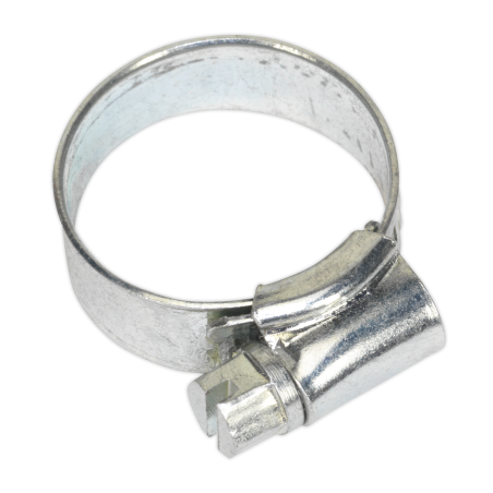 Hose Clip Zinc Plated Ø16-25mm Pack of 20