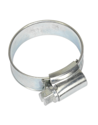 Hose Clip Zinc Plated Ø22-32mm Pack of 20