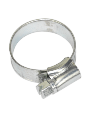 Hose Clip Zinc Plated Ø19-29mm Pack of 20