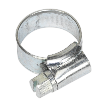 Hose Clip Zinc Plated Ø10-16mm Pack of 30