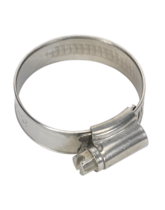 Hose Clip Stainless Steel Ø25-38mm Pack of 10