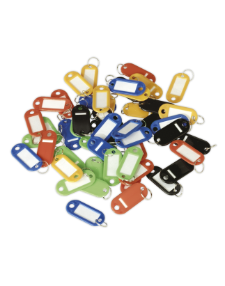 Key Tag Assortment 50pc