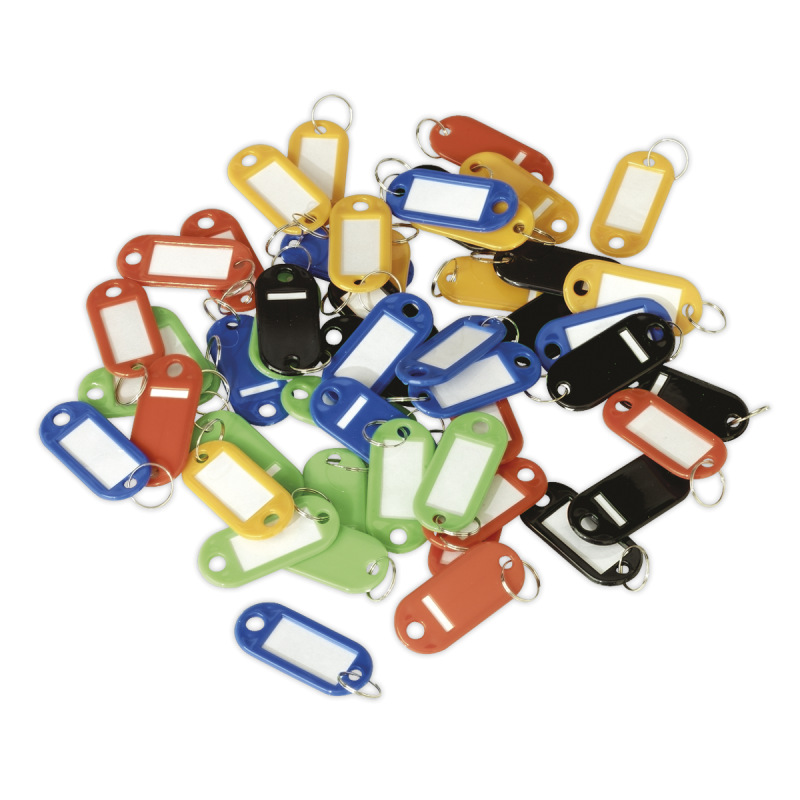 Key Tag Assortment 50pc