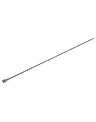 Spline Socket Bit Extra-Long M8 x 800mm 1/2"Sq Drive