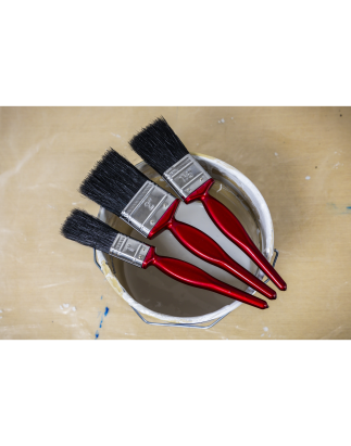 Pure Bristle Paint Brush Set 3pc