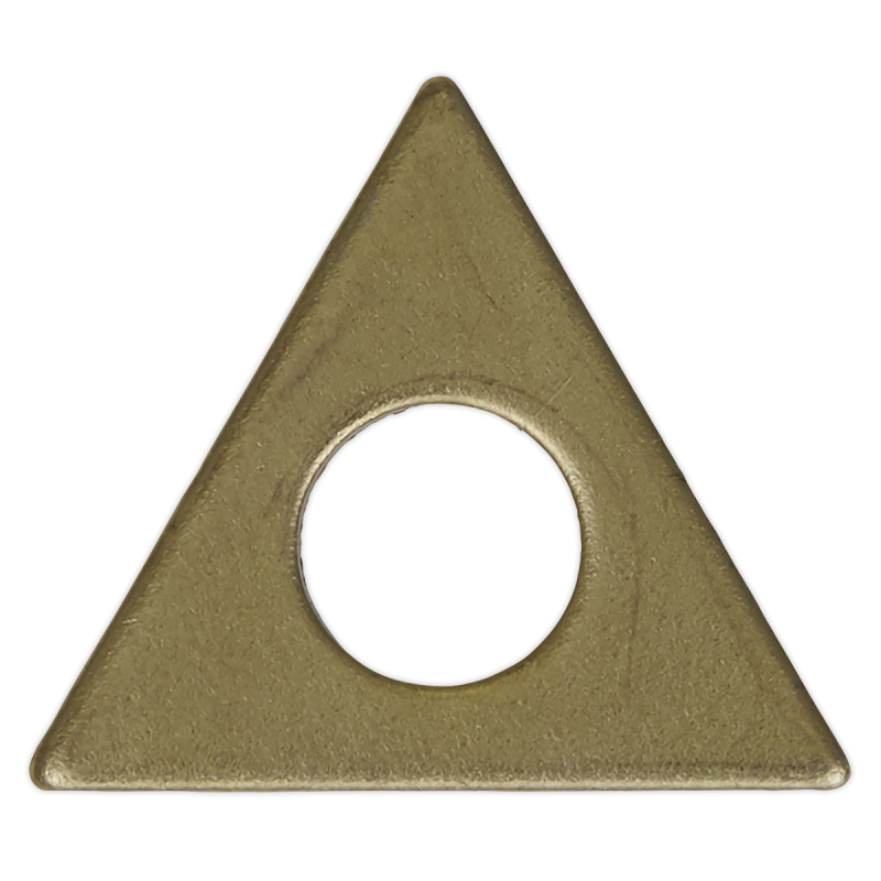 Rondelles triangulaires pour SR2000 - Paquet de 10