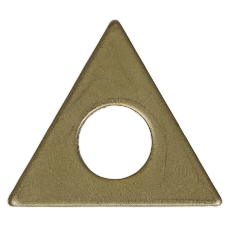 Rondelles triangulaires pour SR2000 - Paquet de 10