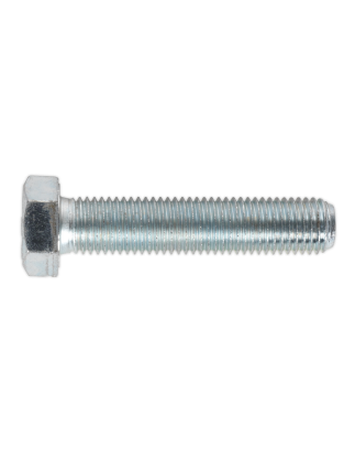 Vis de fixation HT M16 x 75 mm 8,8 zinc paquet de 10