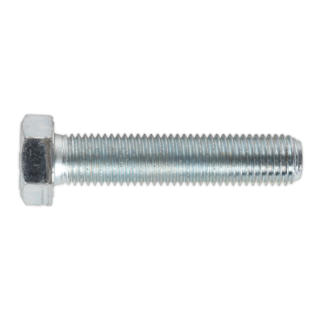 Vis de fixation HT M16 x 75 mm 8,8 zinc paquet de 10