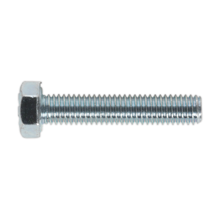 Vis de fixation HT M5 x 25 mm 8,8 zinc paquet de 50