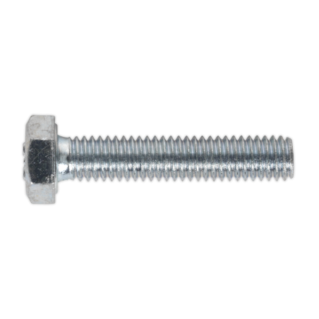 Vis de fixation HT M6 x 30mm 8.8 Zinc Paquet de 50