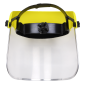 Worksafe® Brow Guard with Full Face Shield