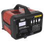 Démarreur/Chargeur 12/24V 180/40A 230V