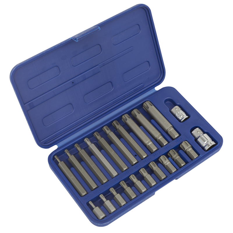 Ribe Bit Set 22pc 3/8" & 1/2"Sq Drive