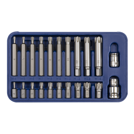 Ribe Bit Set 22pc 3/8" & 1/2"Sq Drive