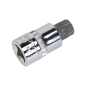 Security Spline Socket Bit M16 1/2"Sq Drive